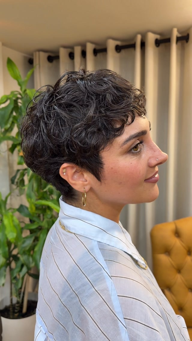 Kıvırcık pixie